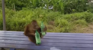 🍻