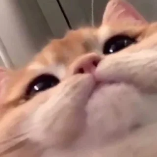 👀