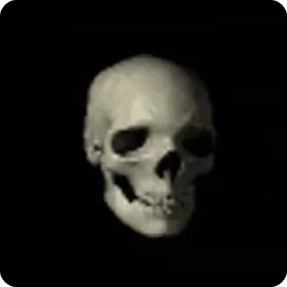 «💀» By [@dont8annadi] x [@Mr_amv1t]