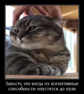 😶