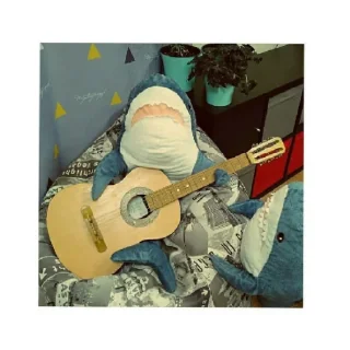🎸