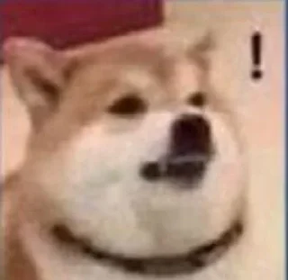 ❗️