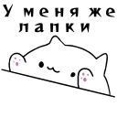 🐈