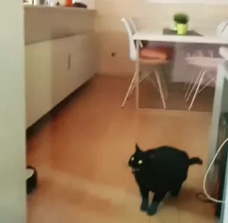 🎃