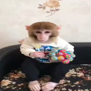 🍬