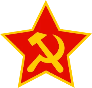 ⭐️