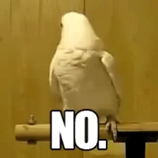 🙅‍♀️