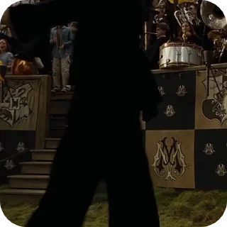 🌟