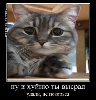 😑
