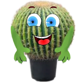cactus @rpynnaTon
