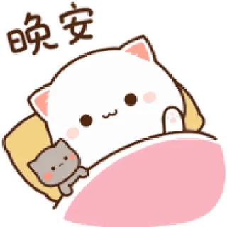 😴