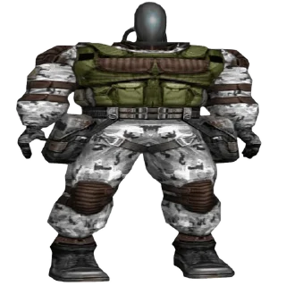 💪
