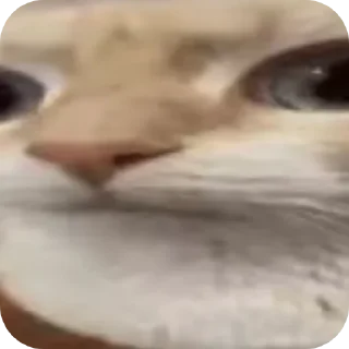 😵‍💫