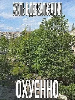 🧂