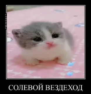 😍