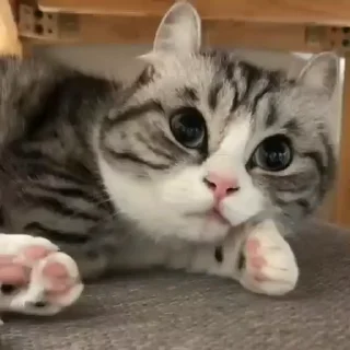 🥱