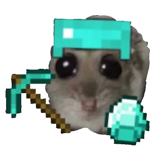 💎