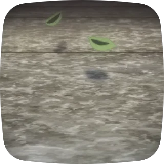 🍃