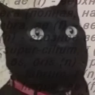 🥸