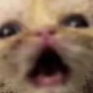😱