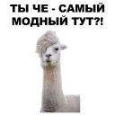 😏