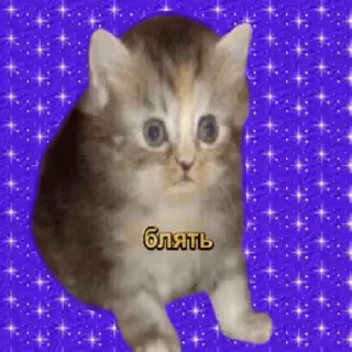 😳