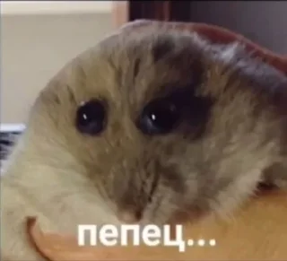 😳