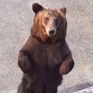 🤩