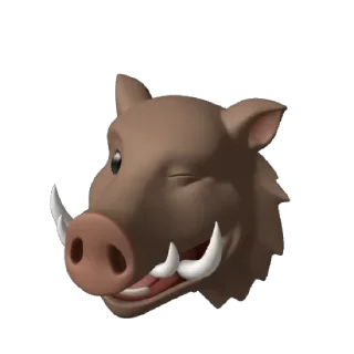 🐗