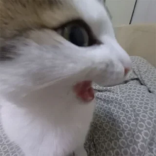 😲