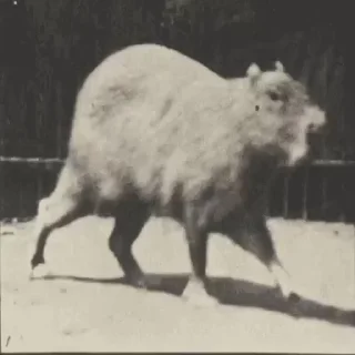 ☺