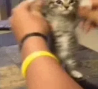 🤪