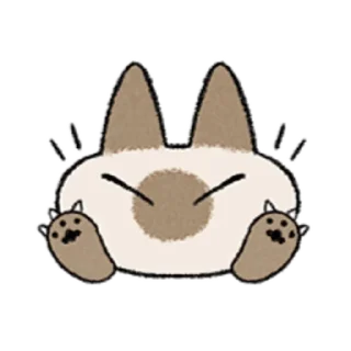 😺