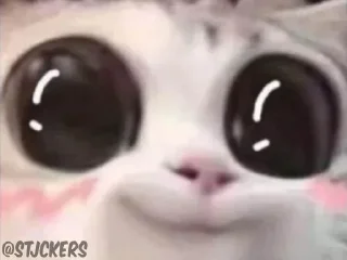 🥹