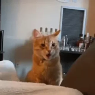😁
