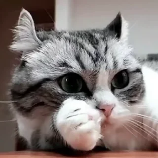 🤨