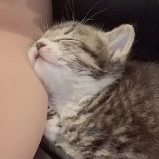 😴