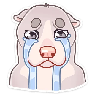 😭