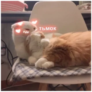 🥰