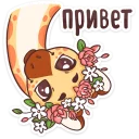 Кокосик :: @mosticks