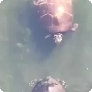 🤗