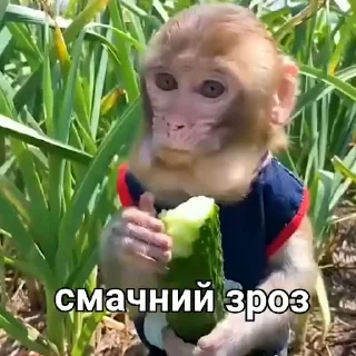 😋