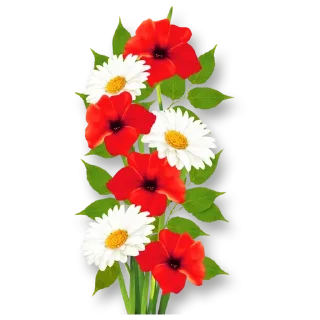🌼