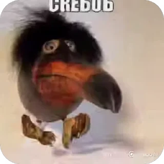 🥭