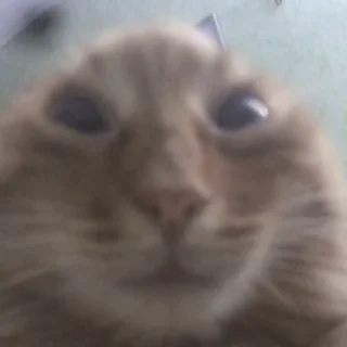 😳