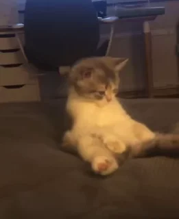 🥵