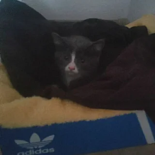 😟