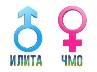 💪