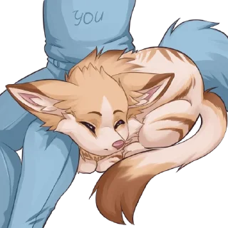💤