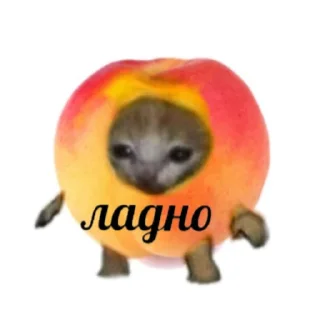 👌